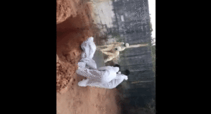 puducheree-korona-mareej