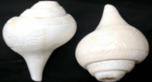 Shankha