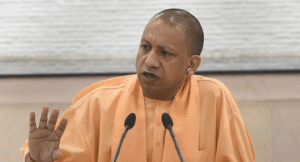 yogi1
