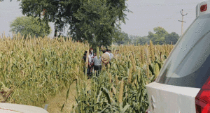 Hathras-case
