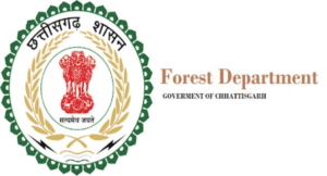 cg-forest0