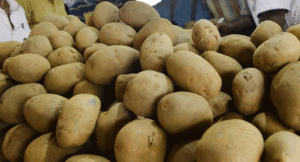 aalu