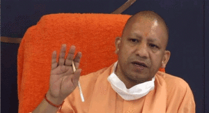yogi11