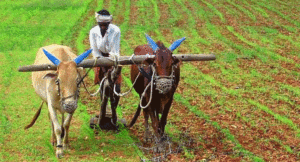 cg-kisan