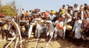 gadde-me-11-hazar-litre-doodh