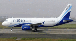 indigo