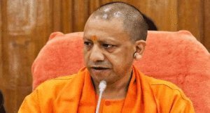 yogi20-11