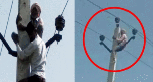 bujurg-chadha-bijali-ke-pol