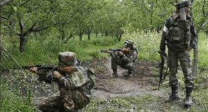 Naxalite