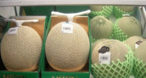 Muskmelon