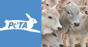 PETA