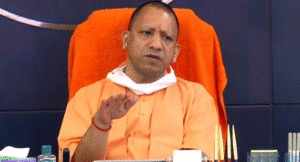 yogi1