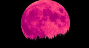 Strawberry-Moon