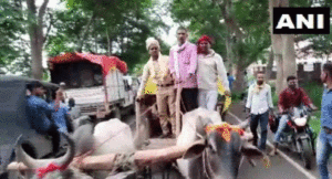 bailgadi-barat