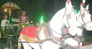 ghodi