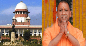 sc-and-yogi