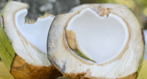 Coconut