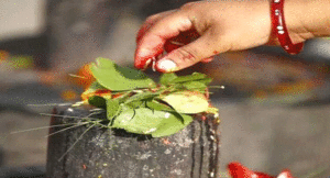 Shivling1