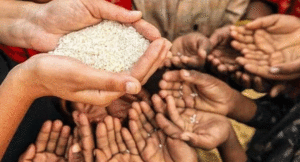 food-security