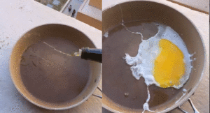 omelet