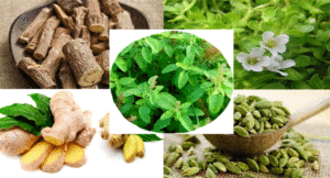 Brahmi-Mulethi-Tulsi-Ginger-Cardamom