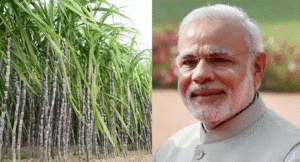 modi-and-ganna1
