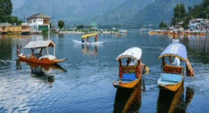 Kashmir