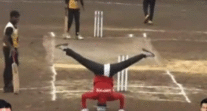 umpire