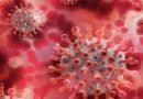 H3N2 इंफ्लूएंजा: इन्फ्लुएंजा जैसी बीमारियों की बढ़ती प्रवृत्ति पर केंद्र ने राज्यों को लिखा पत्र