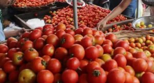 Tomato