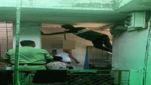 bilaspur crime