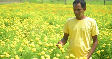 कम पानी और कम लागत में नोमेन्द्र कुमार साहू अर्जित कर रहे अधिक आमदनी