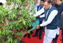 मुख्यमंत्री ने आईआईएम रायपुर परिसर में किया सुशासन वाटिका का शुभारंभ