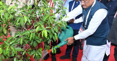 मुख्यमंत्री ने आईआईएम रायपुर परिसर में किया सुशासन वाटिका का शुभारंभ