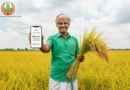 प्रधानमंत्री फसल बीमा योजना से छत्तीसगढ़ के 1.41 लाख किसानों को ₹152.84 करोड़ का भुगतान