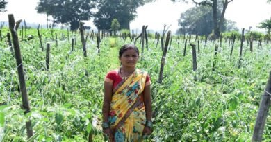 बिहान योजना से आत्मनिर्भरता की मिसाल बनीं शकुन्तला शार्दुल