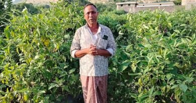 राष्ट्रीय बागवानी मिशन योजना ने दी नई दिशा, कम लागत में लाखों की आय का रास्ता खुला