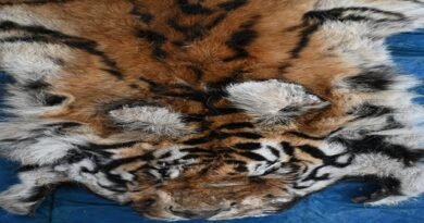 बाघ और तेंदुए के शिकार में शामिल डिप्टी रेंजर सहित 9 आरोपी गिरफ्तार