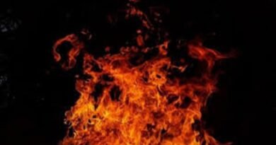 दिल्ली में गर्मी की शुरुआत के साथ आग का कहर, अग्निशमन को हर दिन मिल रही 44 कॉल