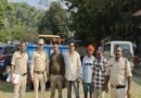 अवैध खनिज परिवहन मामले में 9 वाहन जब्त