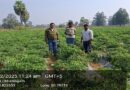 शेडनेट हाउस ने बदली किसान की तकदीर