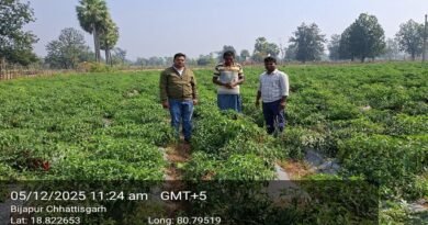 शेडनेट हाउस ने बदली किसान की तकदीर