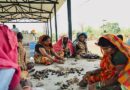 सीड बॉल अभियान के साथ हरियाली की नई शुरुआत