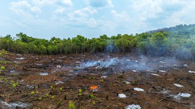 भारत के फेफड़े पर चल रही कुल्हाड़ी, खतरे में है बस्तर का हरा दिल अबूझमाड़