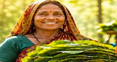 तेंदूपत्ता संग्राहकों के सामाजिक-आर्थिक सशक्तिकरण की ओर छत्तीसगढ़