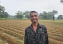 ’धान की जगह अदरक की खेती से किसानों की बढ़ रही आय, फसल विविधीकरण से मिल रही नई आर्थिक मजबूती’