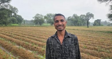 ’धान की जगह अदरक की खेती से किसानों की बढ़ रही आय, फसल विविधीकरण से मिल रही नई आर्थिक मजबूती’