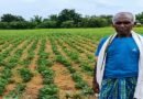 NMEO योजना से किसान बेसाहू राम की खेती को मिली नई दिशा
