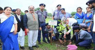 उप मुख्यमंत्री अरुण साव ने किया पौधारोपण