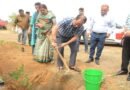 कलेक्टर, सीईओ पहुंचे ग्राम बरौदा, किया पौधरोपण